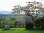 Garden and view Garden and view